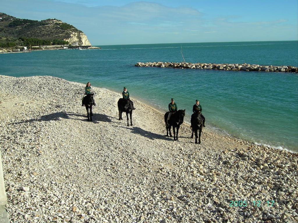 Hotel Menta E Rosmarino Monte SantʼAngelo Eksteriør bilde